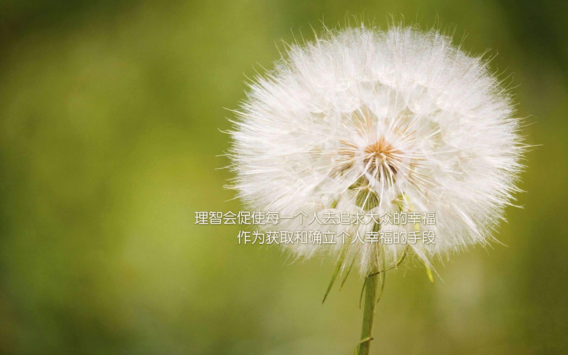 开云电竞-意甲：国际米兰2-2平罗马，卢卡库和迪巴拉各入一球，意甲-卢卡库点射劳塔罗制胜 国米2-1豪取联赛8连胜